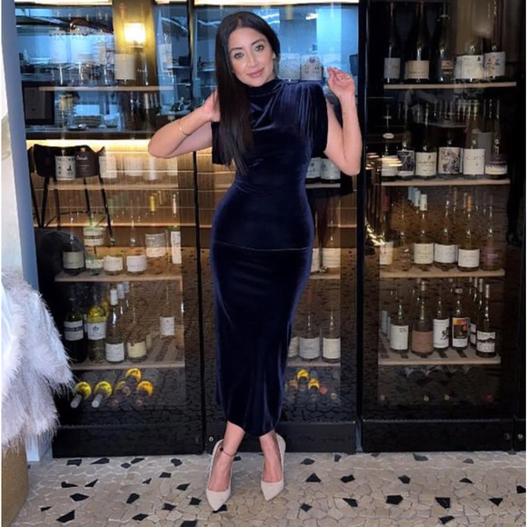 RARE!!! ZARA BLOGGER FAVE! High Collar Midi Dress NWT - Picture 9 of 16